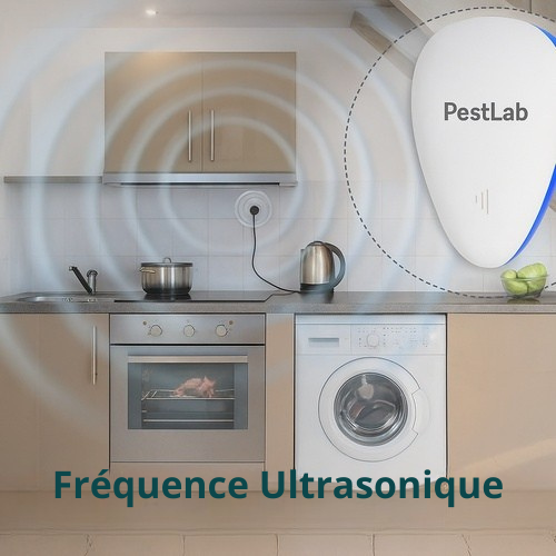 PestLab™ – Éliminez les Envahisseurs et Nuisibles définitivement