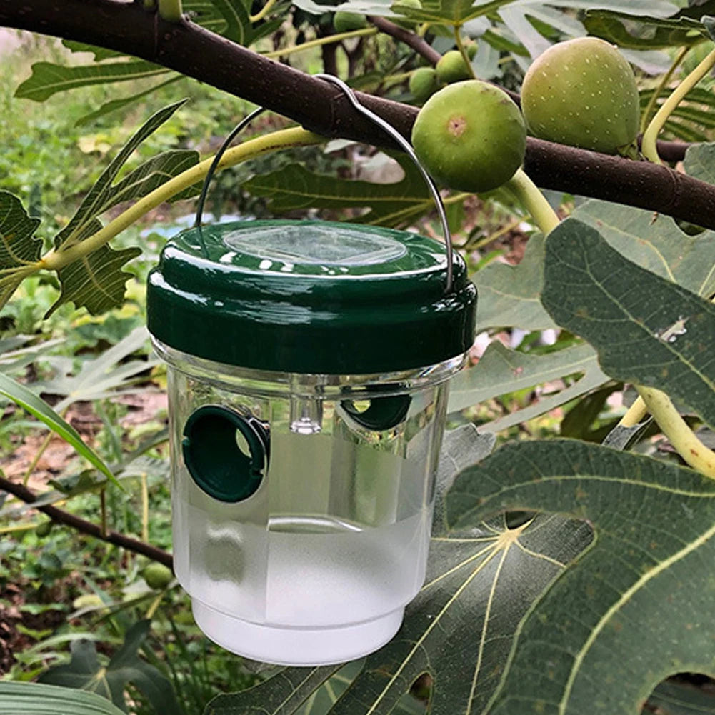 Système d’appât facile pour lutter contre les moustiques