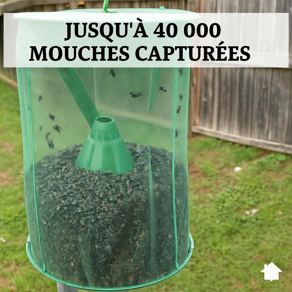 ÉcoTrap™ - Attire et capture les insectes et nuisibles